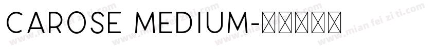 CAROSE Medium字体转换